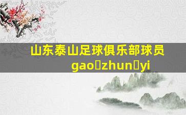 山东泰山足球俱乐部球员gao zhun yi